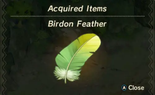 Birdon Unlock item Birdon Feather